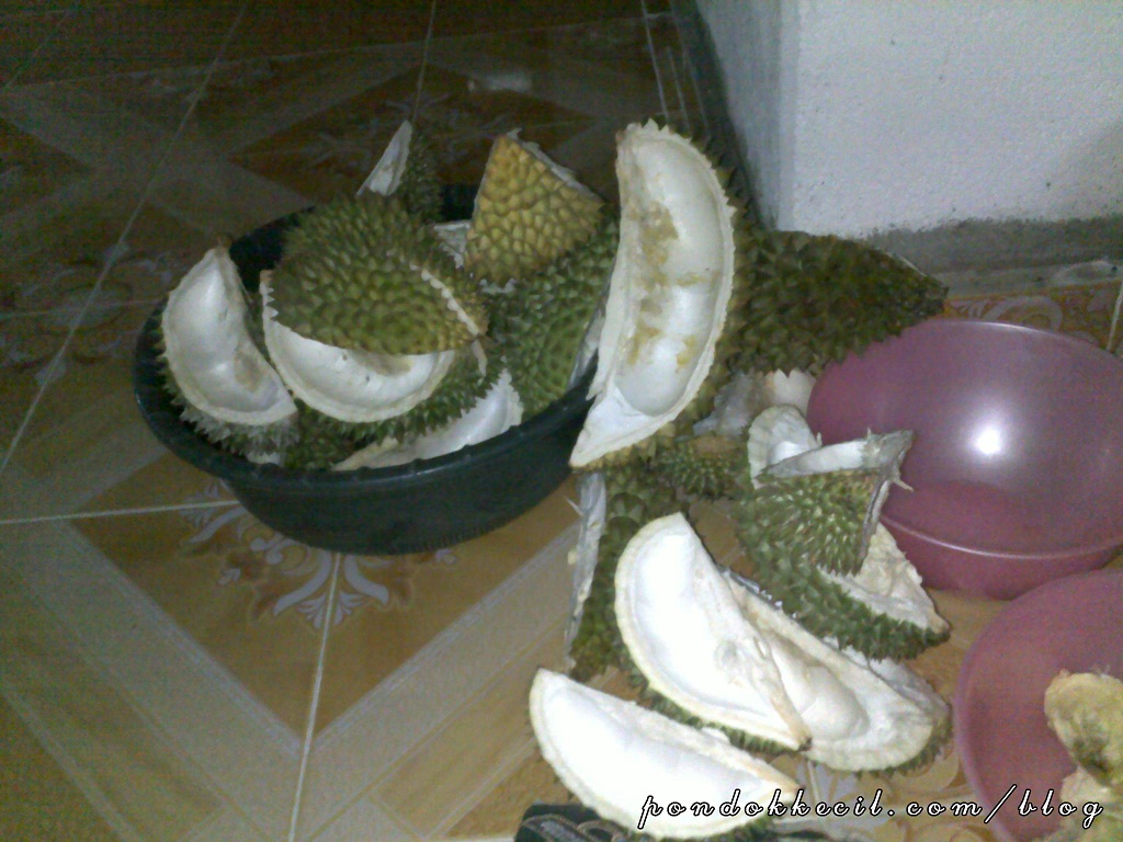 Gambar kulit durian